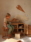 Little Lights Triceratops Lamp