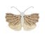 Little Lights Butterfly Lamp