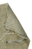 Washable Rug Monstera