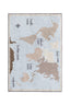 Washable Rug Vintage Map